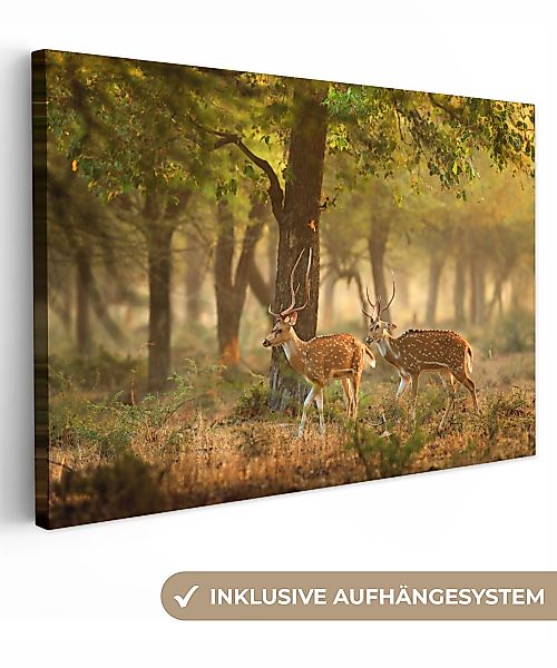 OneMillionCanvasses® Leinwandbild Hirsche - Wald - günstig online kaufen