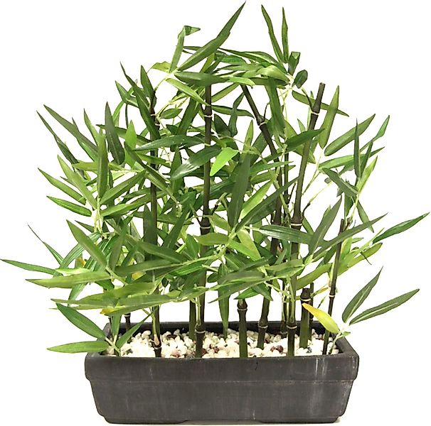 Kunstpflanze Bambus, I.GE.A., Höhe 45 cm, Mit Natursteinen günstig online kaufen