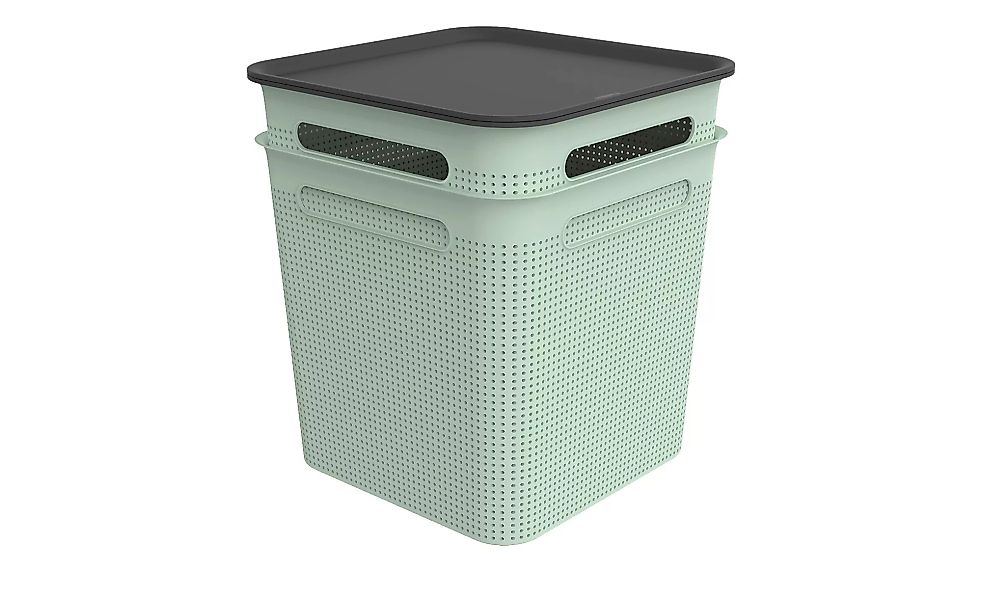 Rotho Aufbewahrungsbox, Set 4 tlg. - grün - Polypropylen - 29 cm - 33 cm - günstig online kaufen