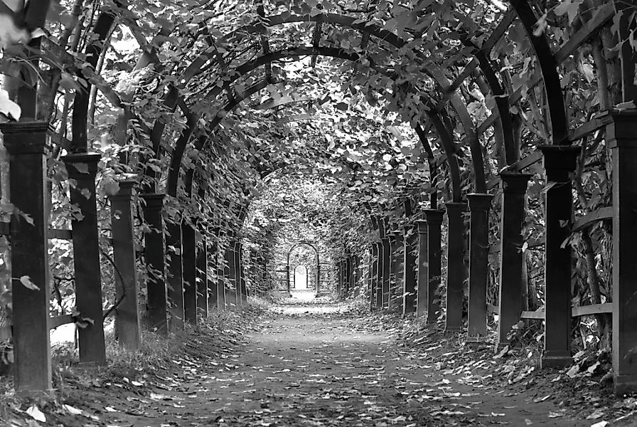 Papermoon Fototapete "Garten Schwarz & Weiß" günstig online kaufen