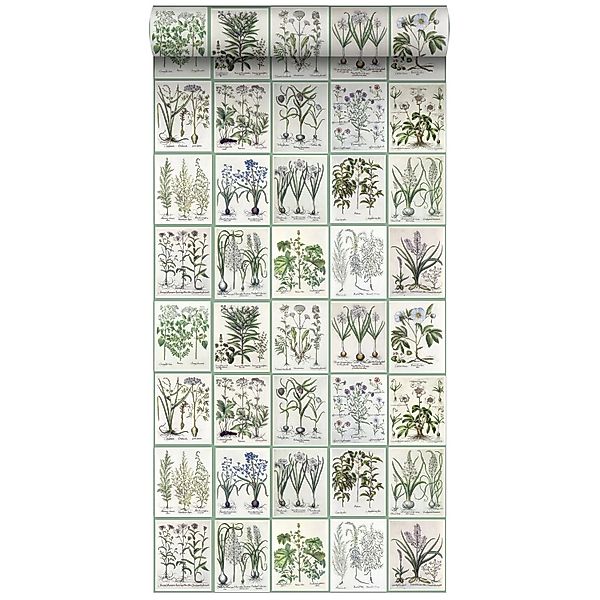 ESTAhome XXL Vliestapete Seiten Aus Botanischen Büchern Hellgrau Und Grün 5 günstig online kaufen