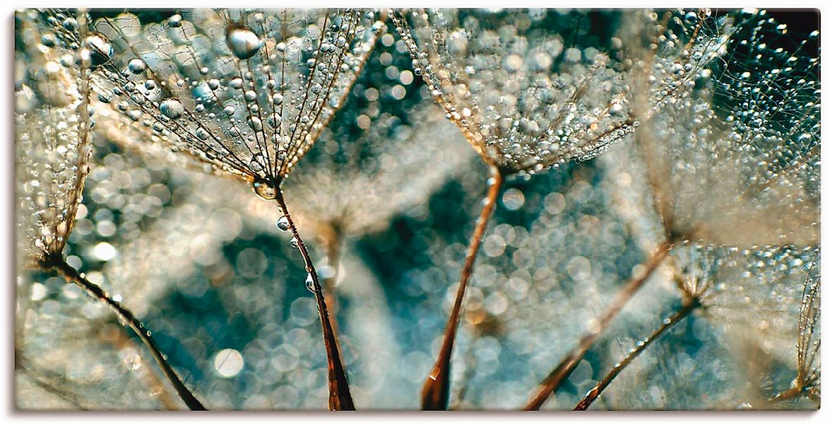 Artland Leinwandbild "Pusteblume Regenschauer" Blumen 1 Stk. tlg. als Alubi günstig online kaufen
