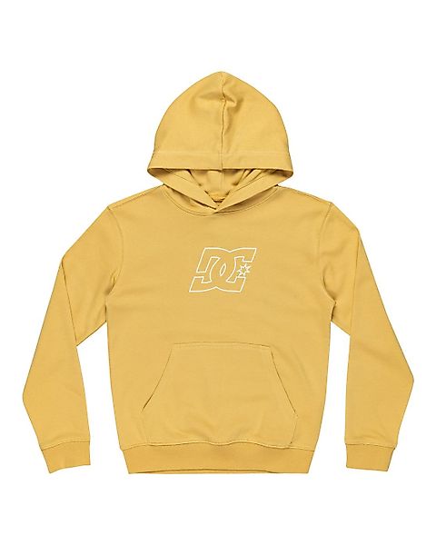 DC Shoes Hoodie Pallet Ph günstig online kaufen