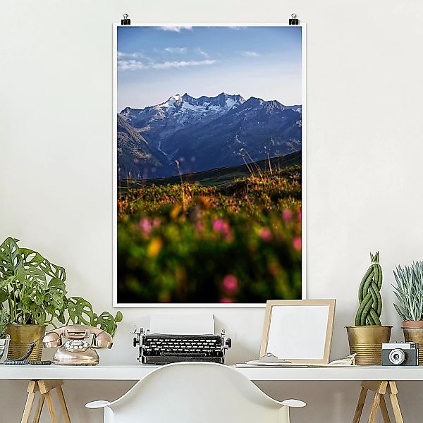 Poster Blumenwiese in den Bergen günstig online kaufen