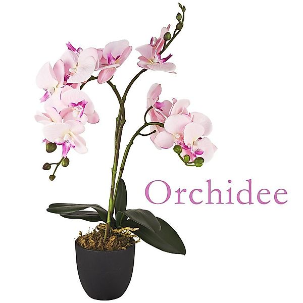 Kunstorchidee Künstliche Orchidee Kunstpflanze Pflanze Rosa günstig online kaufen