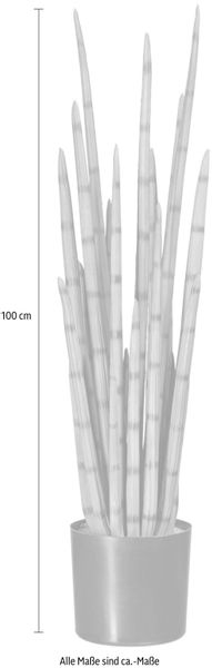 Kunstpflanze Sanseveria, Creativ green, Höhe 100 günstig online kaufen