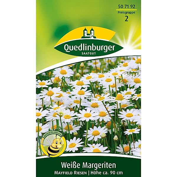 Quedlinburger Weiße Margerite ''Mayfield'' günstig online kaufen