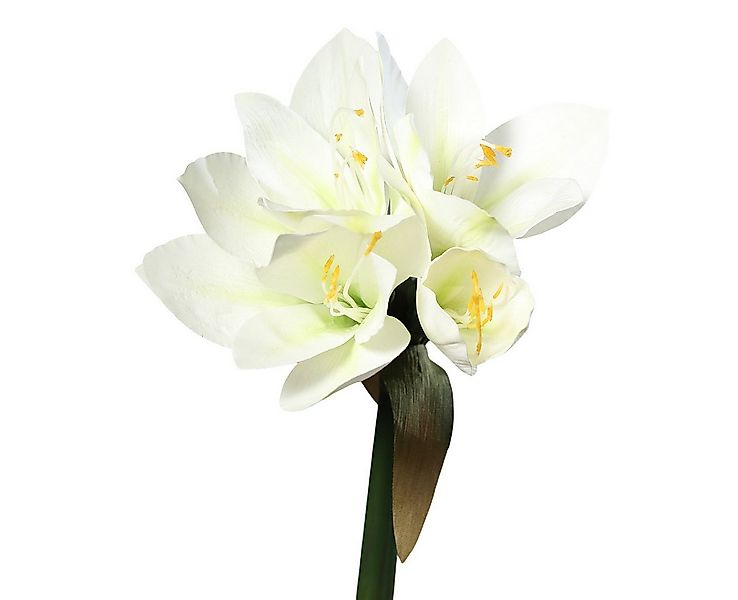 Kunstblume Amaryllis Real Touch DP Dekoblumen künstliche Blumen Ritterstern günstig online kaufen