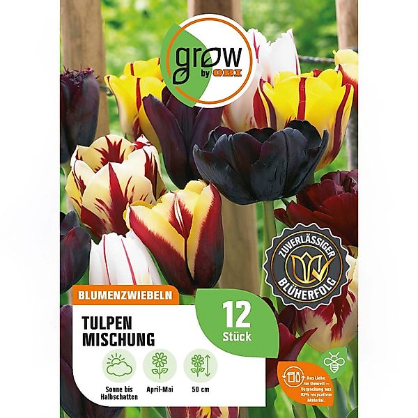 GROW by OBI Tulpen Mischung Nr. 4 / 12 Stück Tulipa mix günstig online kaufen