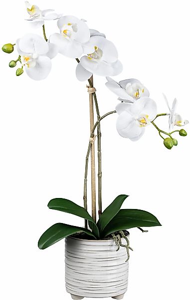 Creativ green Kunstorchidee "Orchidee Phalaenopsis", mit real-touch-Blüten günstig online kaufen