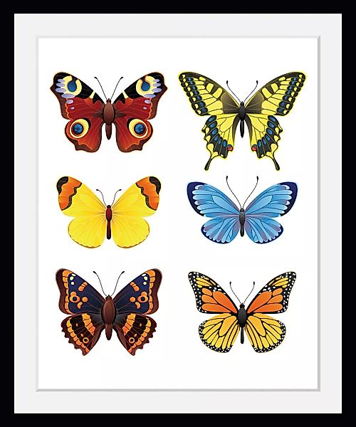 queence Bild "Irina", Schmetterlinge, (1 St.) günstig online kaufen