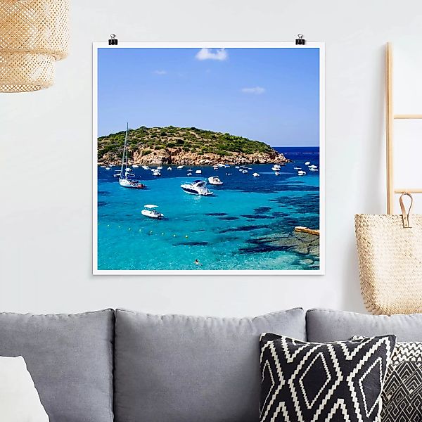 Poster - Quadrat Dragon Island günstig online kaufen