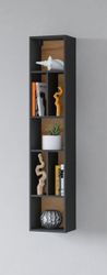 INOSIGN Wandregal "Toledo,Höhe 159 cm stilvolle Bücherregal, viel Stauraum" günstig online kaufen