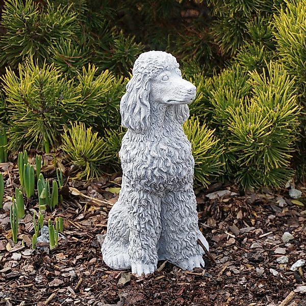 gartendekoparadies.de Gartenfigur Stolzer Pudel mit üppigen Locken, H. 28 c günstig online kaufen