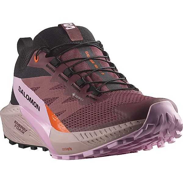 Salomon SENSE RIDE 5 GORE-TEX Laufschuh günstig online kaufen