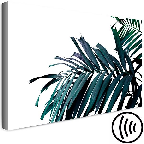 Leinwandbild Palmenast - dunkelblaugrüne Palmblätter auf weißem Hintergrund günstig online kaufen