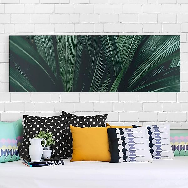 Leinwandbild Botanik - Panorama Grüne Palmenblätter günstig online kaufen