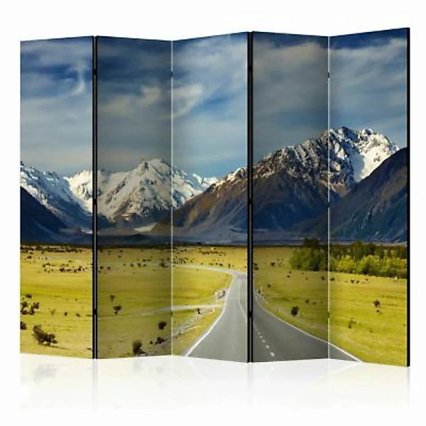 artgeist Paravent Southern Alps, New Zealand II [Room Dividers] mehrfarbig günstig online kaufen