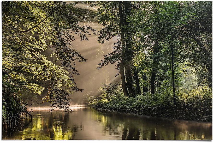 Reinders Poster "Lichtspiel am Waldsee" 1 Stk. tlg. günstig online kaufen