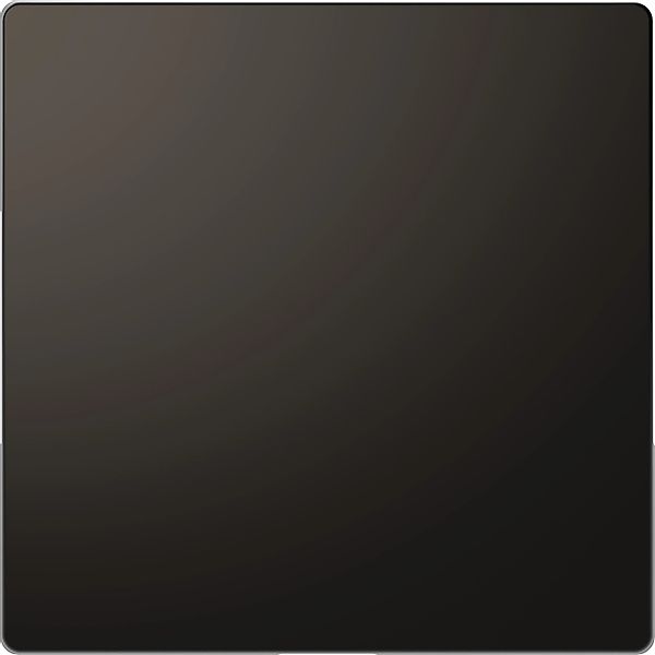 Merten Blindabdeckung System Design Anthrazit günstig online kaufen