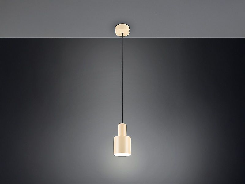 TRIO Leuchten LED Pendelleuchte, Dimmfunktion, LED günstig online kaufen