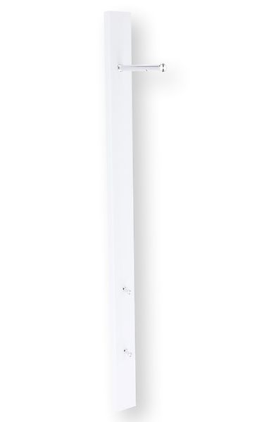 Fiam Garderobenpaneel "paddy", Höhe ca. 119 cm, mit 2 Garderobenhaken und 1 günstig online kaufen