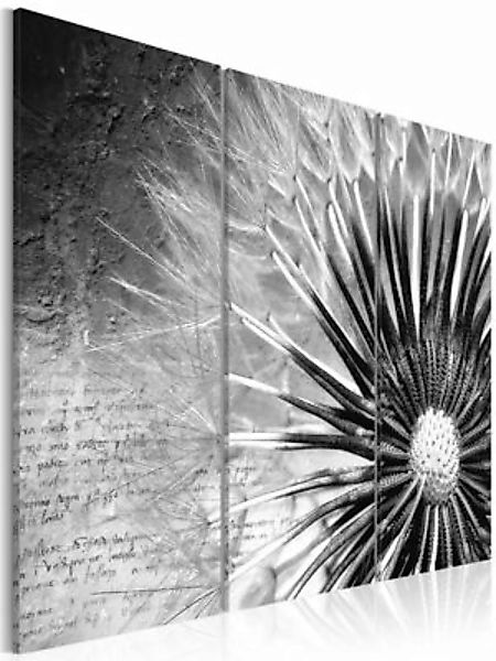 artgeist Wandbild Pusteblume (schwarz-weiß) schwarz/weiß Gr. 60 x 40 günstig online kaufen