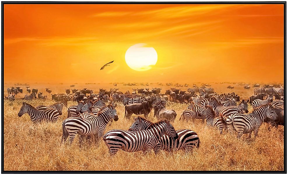 Papermoon Infrarotheizung »Afrikanische Antilopen und Zebras«, sehr angeneh günstig online kaufen