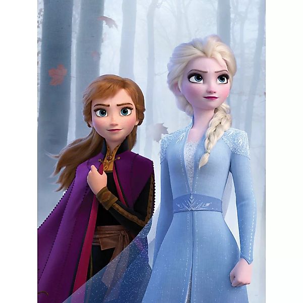 Komar Wandbild Frozen Sisters in the Wood Disney B/L: ca. 30x40 cm günstig online kaufen