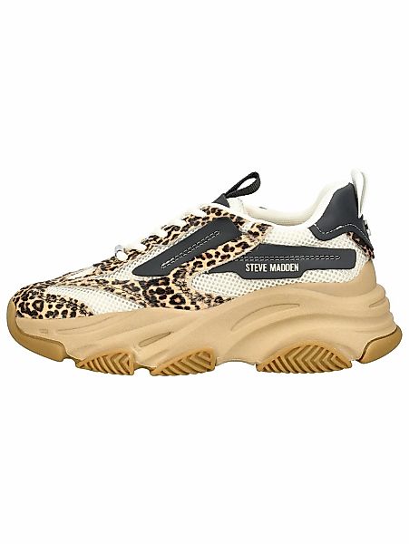 STEVE MADDEN Sneaker "STEVE MADDEN Sneaker Leder/Textil" günstig online kaufen