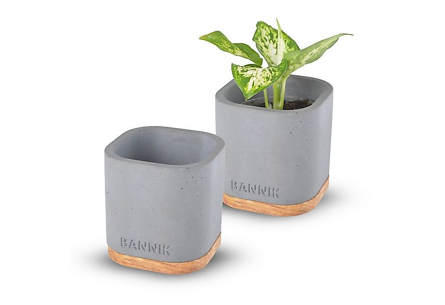 Bannik Blumentopf aus Beton und Holz - Moderner Pflanzkübel - Handgefertigt günstig online kaufen