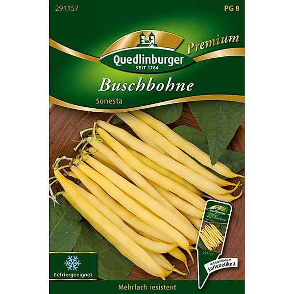 Quedlinburger Buschbohne ''Sonesta'' günstig online kaufen