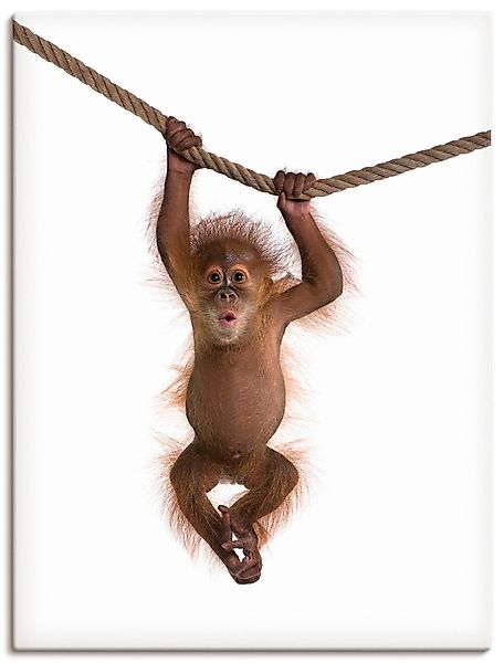 Artland Wandbild »Baby Orang Utan hängt an Seil II« Wildtiere 1 Stk. tlg. a günstig online kaufen
