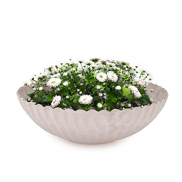 matches21 HOME & HOBBY Blumentopf Pflanzschale günstig online kaufen