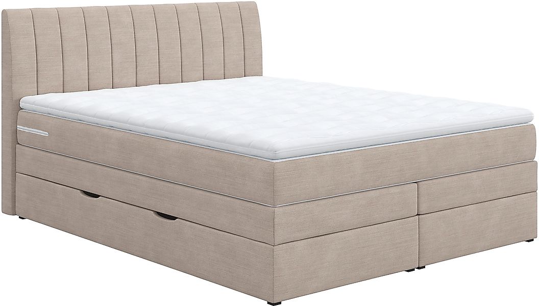 COTTA Boxspringbett »Shark inkl. Bettkasten und Topper«, erhältlich in den günstig online kaufen