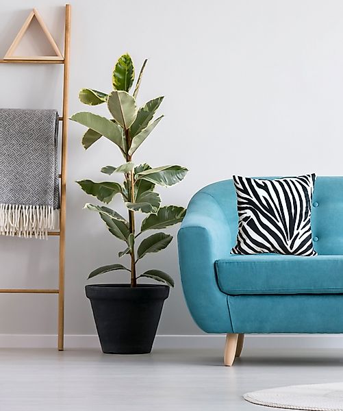 RoKo-Textilien Kissenbezug Kissenbezug»Kissenhülle 100% Polyester Samt-Velo günstig online kaufen