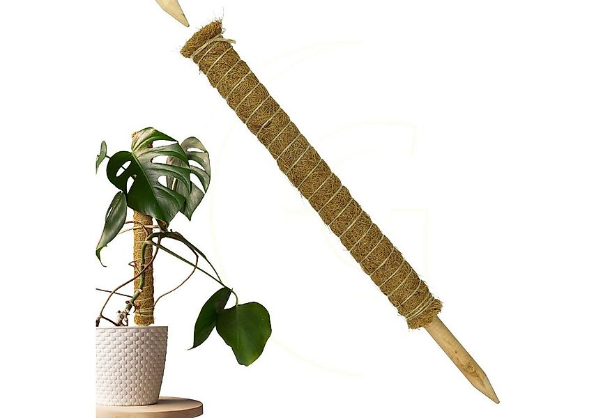 Gravidus Rankhilfe Erweiterbare Pflanzenstütze mit Kokosfilz – Rankhilfe 60 günstig online kaufen