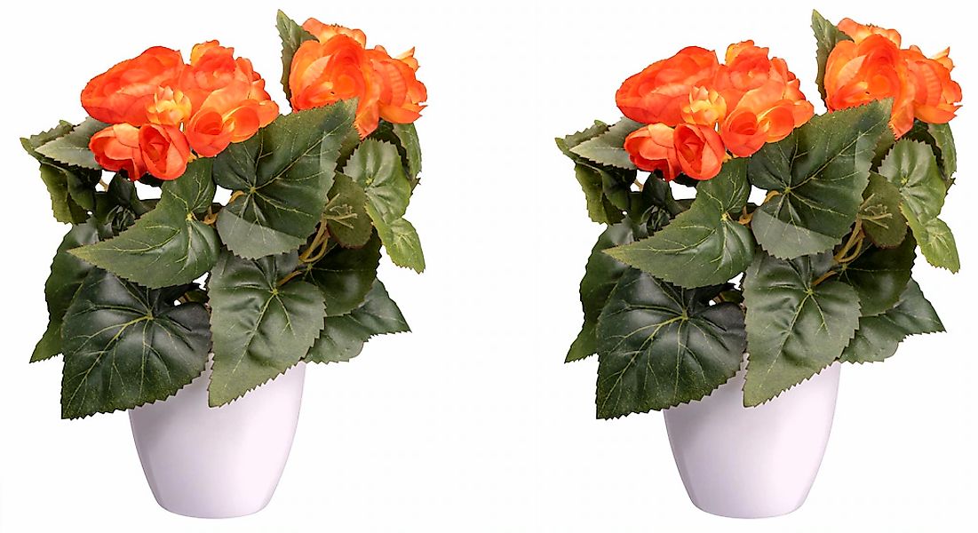 Creativ green Kunstblume "Begonienbusch" günstig online kaufen
