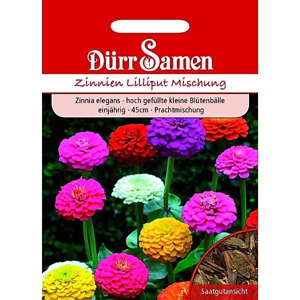 Dürr Samen Zinnien Lilliput Prachtmischung Einjährig Saatgut günstig online kaufen
