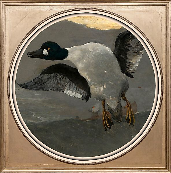 queence Acrylglasbild "Ente", Kunst-Vögel-Vogelbilder-Ente-Enten-Gemälde, F günstig online kaufen