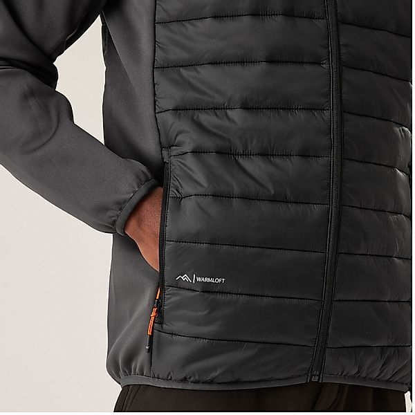 Regatta Steppjacke Clumber IV Regatta Clumber günstig online kaufen