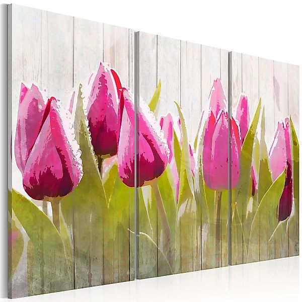 Wandbild - Spring bouquet of tulips günstig online kaufen