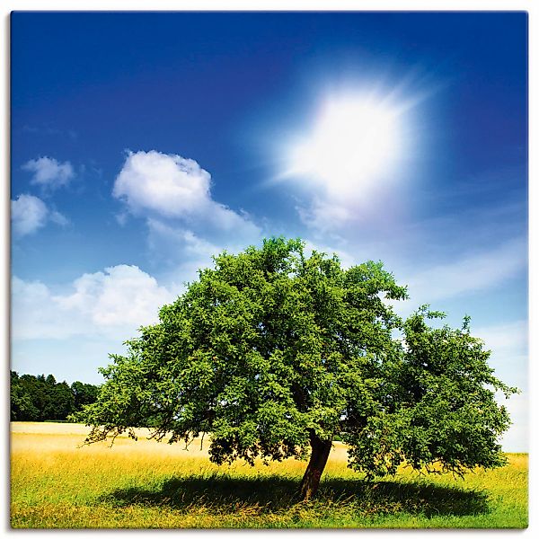 Artland Wandbild "Baum des Lebens" Bäume 1 Stk. tlg. als Leinwandbild, Post günstig online kaufen