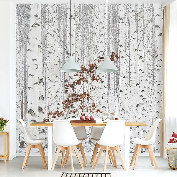 Bilderdepot24 Vliestapete Schwarz-Weiß Birken Herbst 3D-Effekt günstig online kaufen