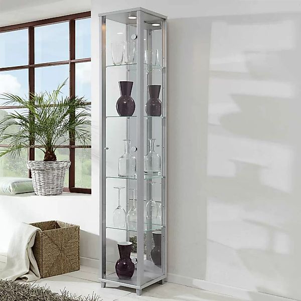Wohnzimmer Vitrinenschrank in Silberfarben 1-türig günstig online kaufen