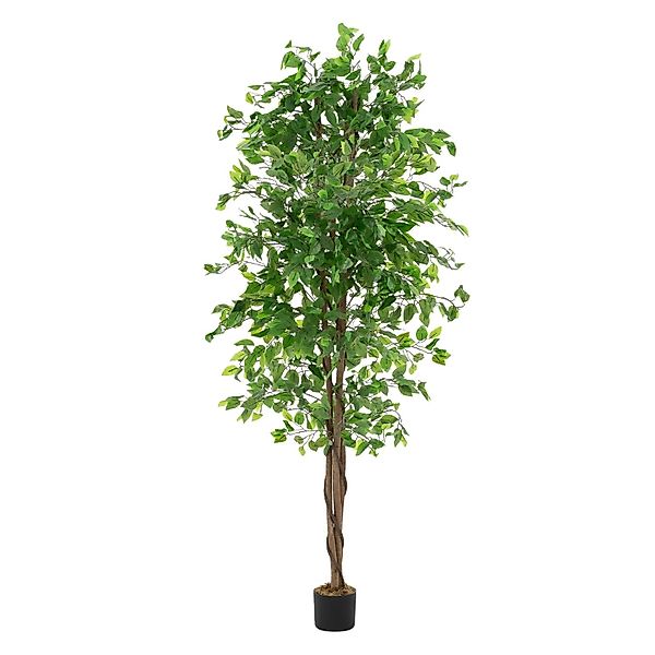 ML-Design Kunstpflanze Ficus 210 cm mit Naturholzstamm günstig online kaufen