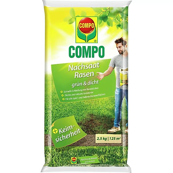 Compo Nachsaat-Rasen grün und dicht 2,5 kg günstig online kaufen
