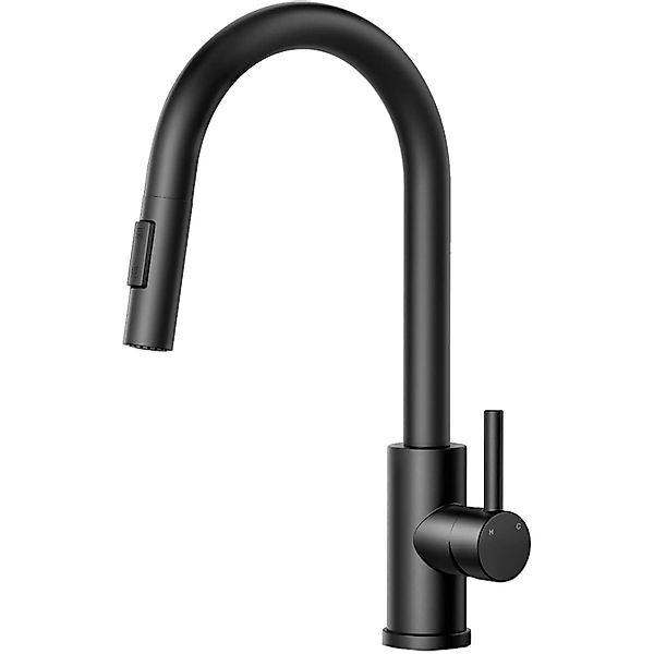 AICA Säulenbrause-Wasserhahn Schwarz Zwei Wasserauslassmodi Küche Mischbatt günstig online kaufen