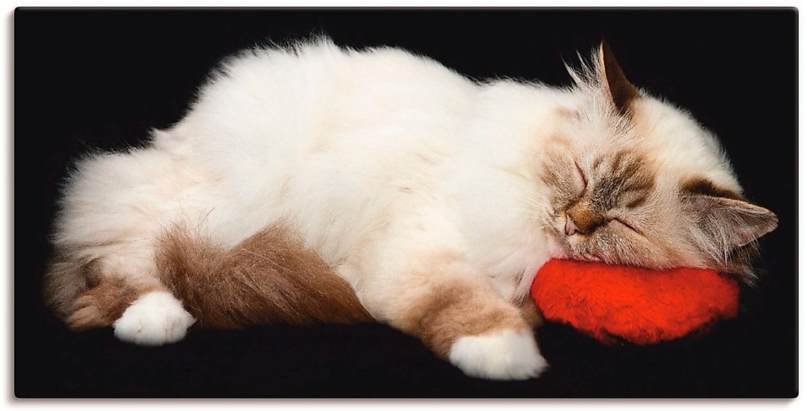 Artland Leinwandbild "Müde Katze" Haustiere 1 Stk. tlg. auf Holzrahmen gesp günstig online kaufen