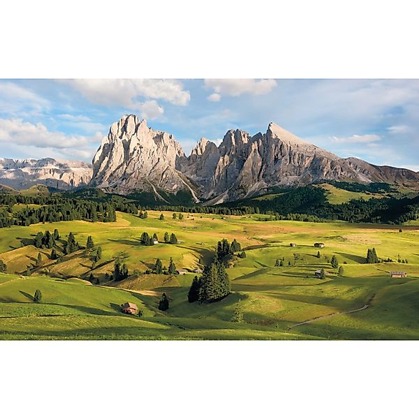Komar Vliestapete »Digitaldruck Vlies - Alpen - Größe 400 x 250 cm« bedruck günstig online kaufen